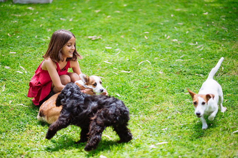 Casamiento dog-friendly