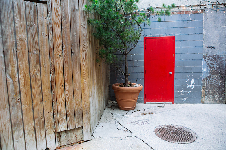 Freemans alley door